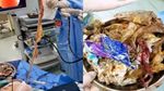Duh! Dokter Temukan 1 Kg Sampah Plastik di Perut Pasien, Ini Penampakannya