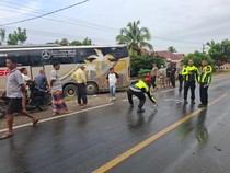 Bus SAN Tabrak Mobil Boks Ekspedisi di Jalinsum Jambi, Satu Sopir Tewas