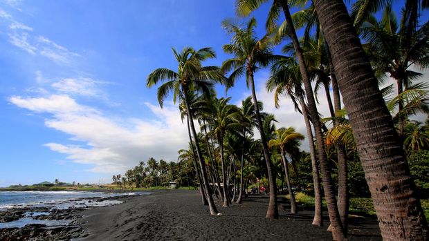 Pantai Punalu'u, Hawaii