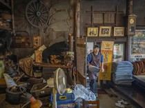 Populasi Beruang Meledak, Kini Diburu Jadi Santapan di Jepang