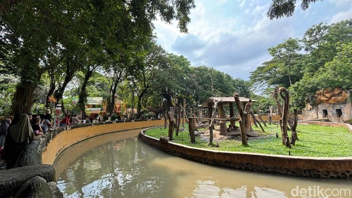 Ribu Pengunjung Padati KBS Pada Libur Natal 2025