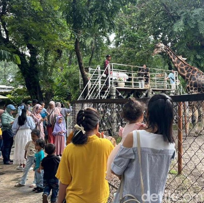 KBS Diserbu 15 Ribu Wisatawan saat Libur Natal