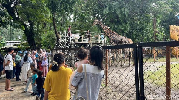 KBS Diserbu 15 Ribu Wisatawan saat Libur Natal