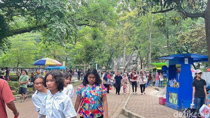 Pengunjung TM Ragunan Tembus 50.211 Orang di Libur Natal 2025