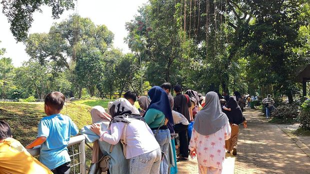 Taman Margasatwa Ragunan Jaksel dipadati pengunjung saat libur Natal 2025. (Anggi M/detikcom)