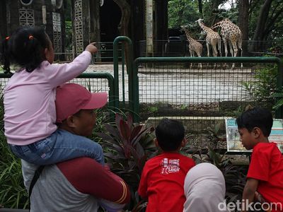 Tiket Murah Jadi Daya Tarik, Ragunan Ramai Saat Libur Nataru