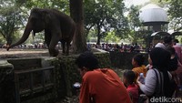 Pengunjung cukup membayar Rp4.000 untuk dewasa dan Rp3.000 untuk anak-anak per orang. Tarif murah tersebut dinilai ramah bagi keluarga, sehingga Ragunan tetap menjadi pilihan rekreasi favorit masyarakat.
