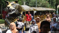 Kamis (25/11/2025), ribuan pengunjung terlihat memenuhi area kebun binatang untuk melihat koleksi satwa sekaligus menikmati suasana hijau di tengah kota.