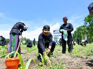 Cegah Bencana Hidrometeorologi, Banyuwangi Tanam 200 Ribu Pohon