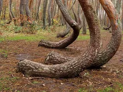 10 Tempat yang Mirip Hasil AI tapi Asli, Ada dari Indonesia