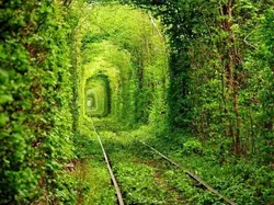 10 Tempat yang Mirip Hasil AI tapi Asli, Ada dari Indonesia