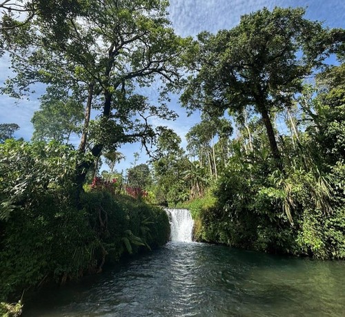 Air Terjun Tibuan Wanagiri, Buleleng, Bali. (Tangkap Layar Google Maps/Kadek Gunawan/2025)