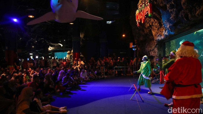Penyelam berkostum Sinterklas memberi makan ikan di akuarium Sea World Ancol, Jakarta Utara, Jumat (26/12/2025), sebagai atraksi khusus libur Natal dan Tahun Baru.