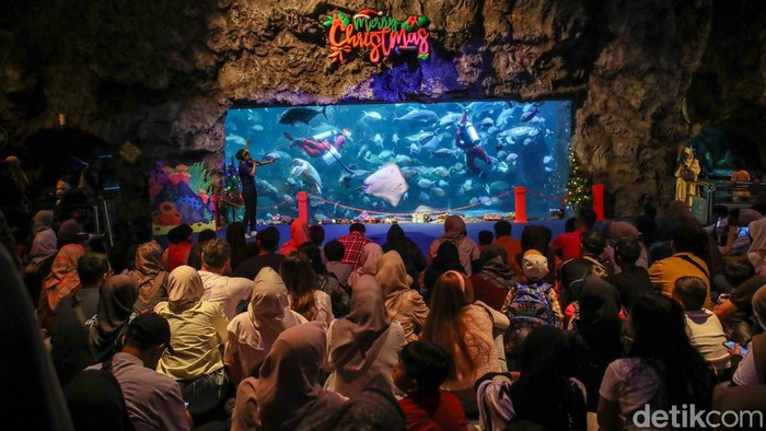 Penyelam berkostum Sinterklas memberi makan ikan di akuarium Sea World Ancol, Jakarta Utara, Jumat (26/12/2025), sebagai atraksi khusus libur Natal dan Tahun Baru.