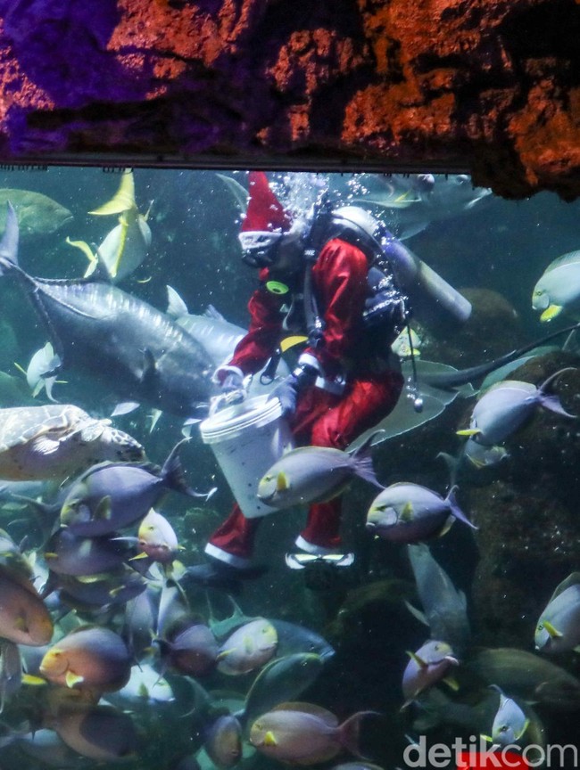Atraksi Sinterklas Bawah Laut Meriahkan Libur Natal