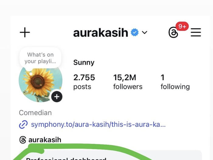 Aura Kasih