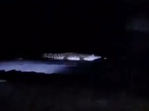 Video: Heboh Buaya di Pantai Watu Leter Malang, Polisi Minta Warga Lapor