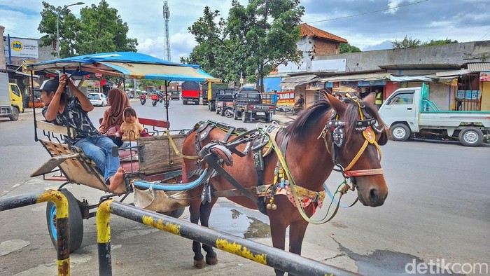 Cegah Macet di Ciwidey dan Pangalengan, Delman Dilarang Beroperasi
