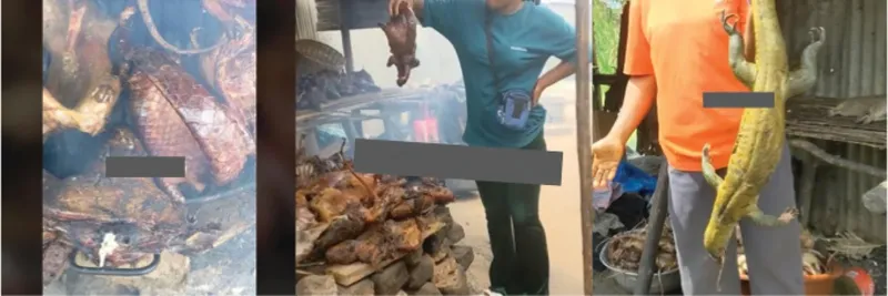 Duh! Kini TikTok Jadi Tempat Promosi Daging Satwa Langka untuk Dimakan