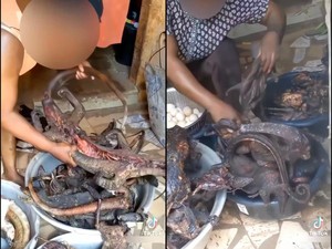 Duh! Kini TikTok Jadi Tempat Promosi Daging Satwa Langka untuk Dimakan