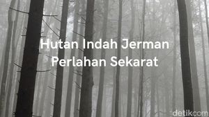 Video: Hutan Harz JermanTerancam Dampak Iklim Ekstrem