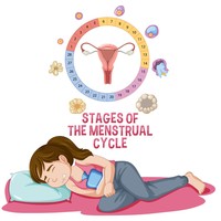 Haid Bukan Sekadar Darah, Ini 4 Fase Siklus Menstruasi yang Perlu Dipahami