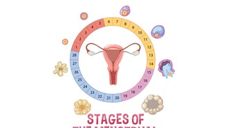 Haid Bukan Sekadar Darah, Ini 4 Fase Siklus Menstruasi yang Perlu Dipahami