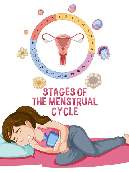 Haid Bukan Sekadar Darah, Ini 4 Fase Siklus Menstruasi yang Perlu Dipahami