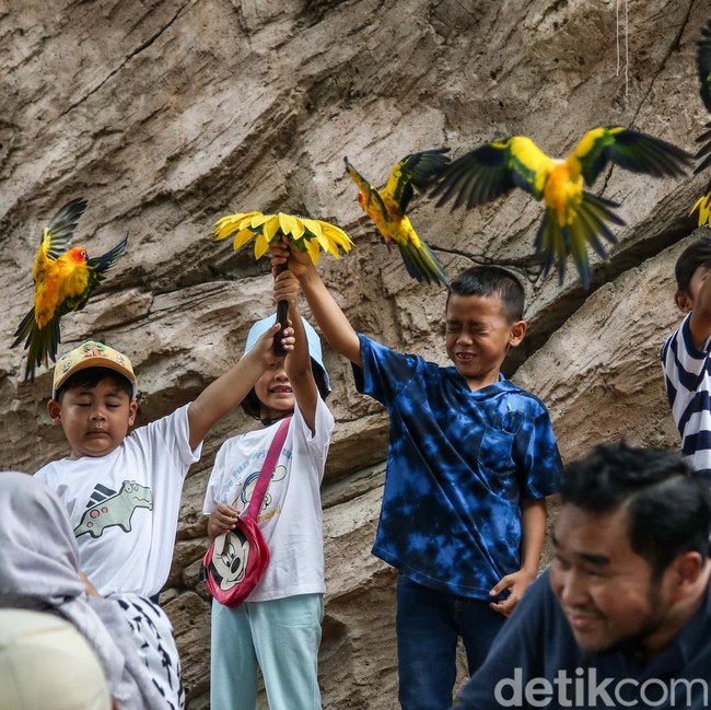 Libur Panjang Natal, Wisata Edukasi Burung Diserbu Pengunjung