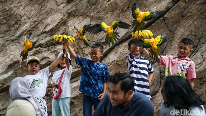 Geliat Libur Natal, Wisata Edukasi Burung Diserbu Pengunjung Libur Natal dan Tahun Baru dimanfaatkan warga untuk berwisata ke Jakarta Bird Land, Ancol, Jakarta Utara, Jumat (26/12/2025). Konsep edukatif ramah keluarga jadi daya tarik.