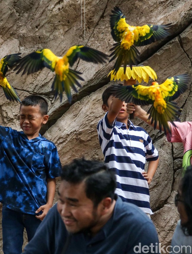 Libur Panjang Natal, Wisata Edukasi Burung Diserbu Pengunjung
