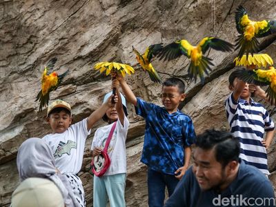 Libur Panjang Natal, Wisata Edukasi Burung Diserbu Pengunjung