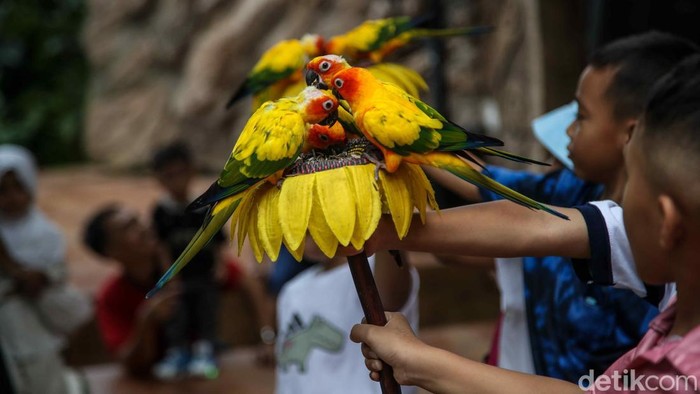 Libur Natal dan Tahun Baru dimanfaatkan warga untuk berwisata ke Jakarta Bird Land, Ancol, Jakarta Utara, Jumat (26/12/2025). Konsep edukatif ramah keluarga jadi daya tarik.