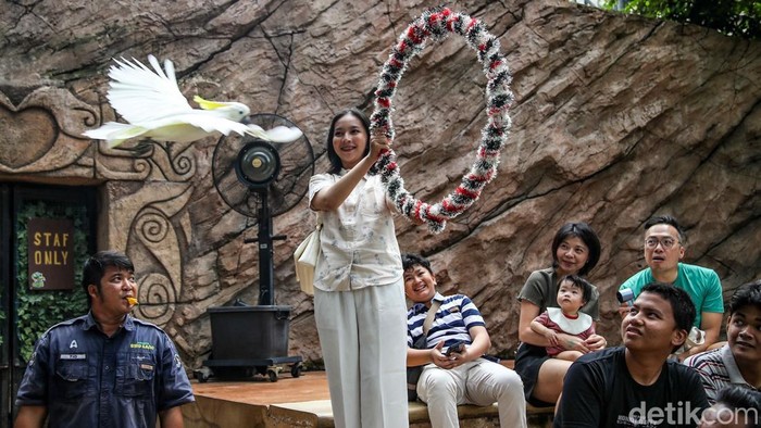Geliat Libur Natal, Wisata Edukasi Burung Diserbu Pengunjung Libur Natal dan Tahun Baru dimanfaatkan warga untuk berwisata ke Jakarta Bird Land, Ancol, Jakarta Utara, Jumat (26/12/2025). Konsep edukatif ramah keluarga jadi daya tarik.