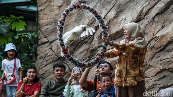 Libur Natal dan Tahun Baru dimanfaatkan warga untuk berwisata ke Jakarta Bird Land, Ancol, Jakarta Utara, Jumat (26/12/2025). Konsep edukatif ramah keluarga jadi daya tarik.