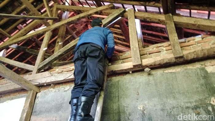 Kala Damkar Usir Kera Liar Yang Acak-acak Dapur Rumah Warga di Kuningan