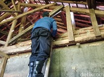 Kala Damkar Usir Kera Liar Yang Acak-acak Dapur Rumah Warga di Kuningan