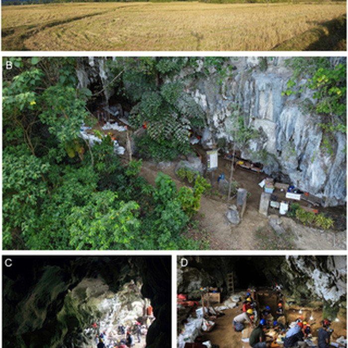 Manusia Purba dan Modern Sempat Bersinggungan di Sulawesi? Ini Risetnya