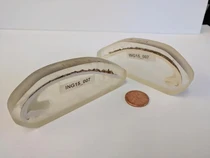 Kerang Ming, Hewan Tertua Berusia 507 Tahun Itu Mati karena Manusia