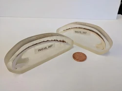 Hewan Tertua Lahir Tahun 1499, Hidupnya Berakhir karena Manusia