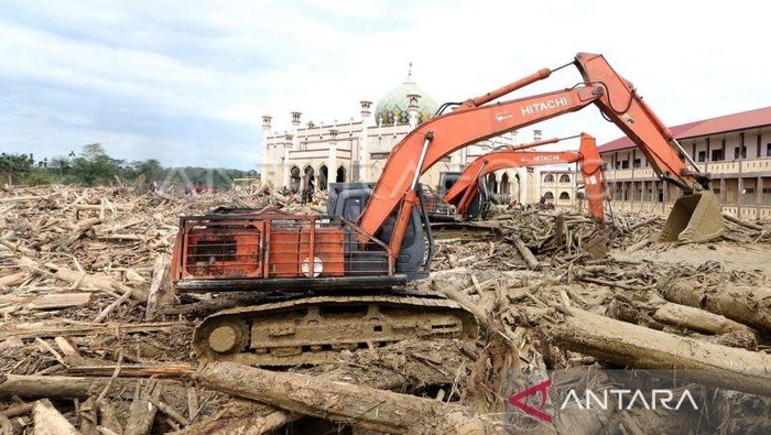 DPR Minta Mendagri Putuskan Nasib Kayu Gelondongan di Daerah Bencana