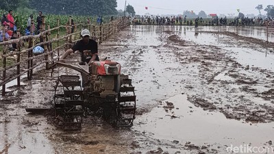 Melihat Keseruan Balap Traktor Sambut Musim Tanam di Probolinggo