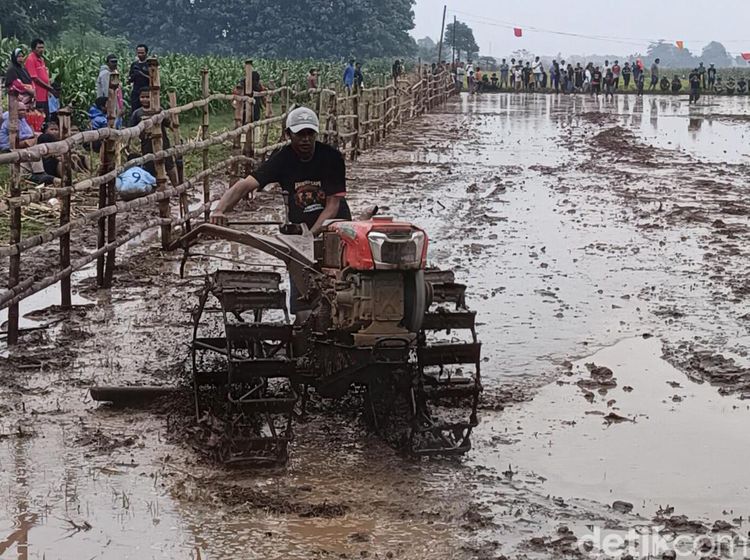 Melihat Keseruan Balap Traktor Sambut Musim Tanam di Probolinggo