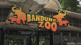 Resmi Dikelola Faunaland, Harga Tiket Bandung Zoo Bakal Naik? Ini Kata Farhan