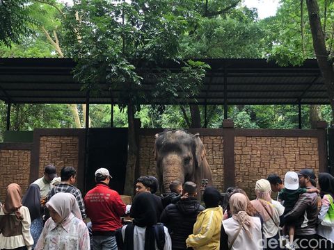 Bandung Zoo Bandung Zoo