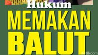 Hukum Memakan Balut bagi Muslim