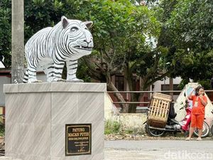 Sempat Dibully, Patung Macan Putih Gemoy di Kediri Malah Membawa Berkah