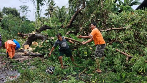 Personel BPBD Karangasem mengevakuasi pohon tumbang menimpa warung di Kecamatan Selat, Karangasem, Sabtu (27/12/2025).