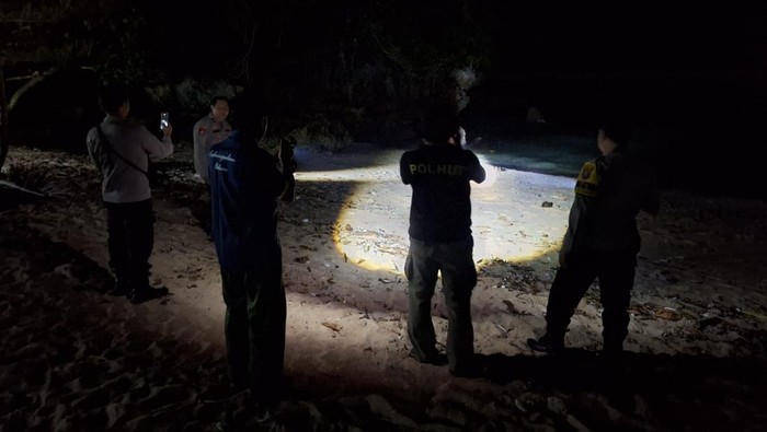 Kemunculan Buaya di Pantai Ngliyep Malang, Evakuasi Terkendala Ombak