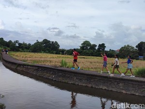 Dalung Jogging Track, Opsi Tempat Libur Sekolah dengan Lanskap Sawah